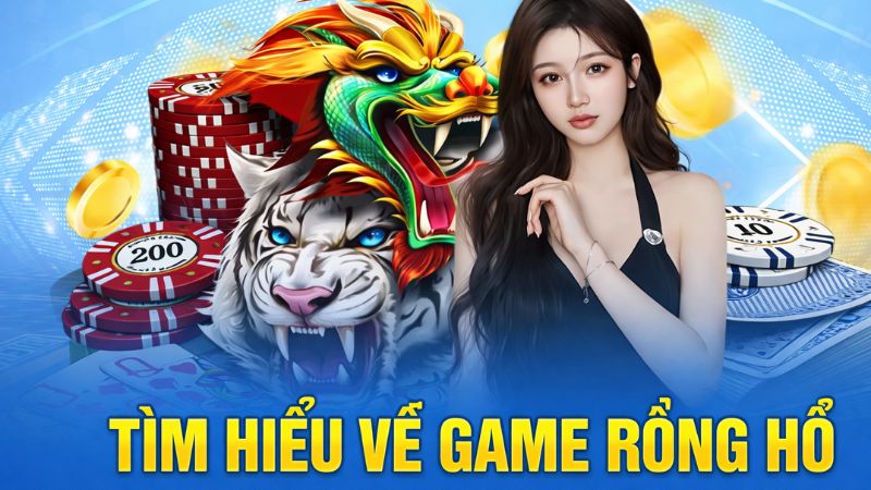 Rồng Hổ có quy trình một ván cược rõ ràng, minh bạch